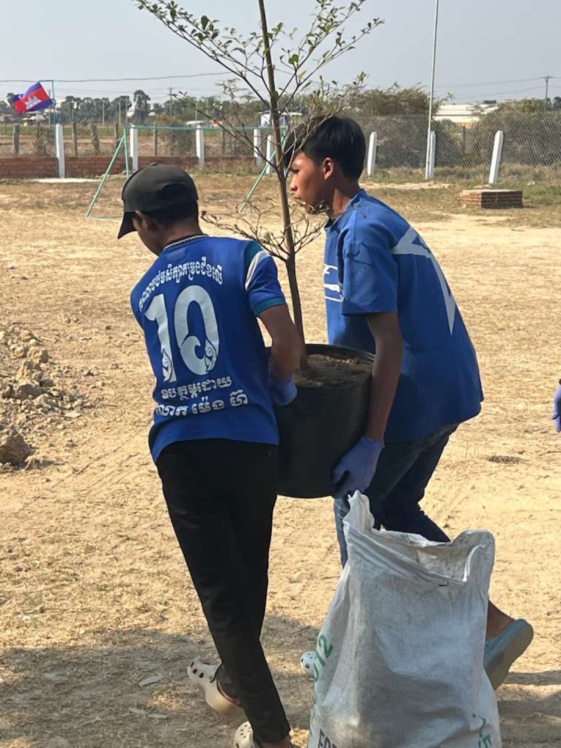 Two young men carrying a potted sapling across the property to plant it